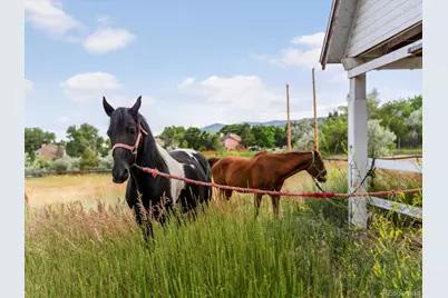 12196 W Belleview Drive, Littleton, CO 80127 - Photo 47