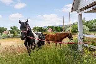 12196 W Belleview Dr, Littleton, CO 80127 - Photo 47