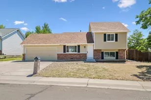9806 Madison St, Denver, CO 80229 - Photo 21