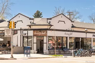 1735 Albion St, Denver, CO 80220 - Photo 35