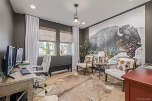 3624 Rucksack Ct, Castle Rock, CO 80108 - Photo 5