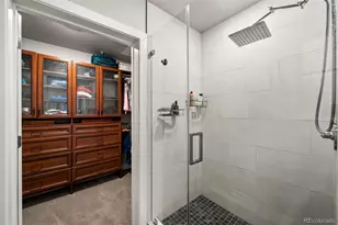 20 Wilcox Street, Castle Rock, CO 80104 - Photo 31