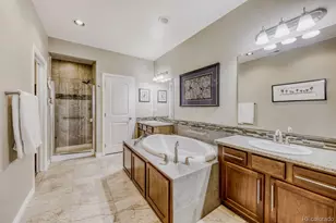 9534 Rosato Ct, Highlands Ranch, CO 80126 - Photo 19