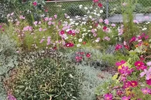 3333 W Wagon Trail Dr, Englewood, CO 80110 - Photo 29