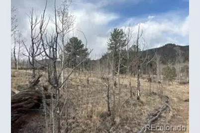 404 Spade Place, Jefferson, CO 80456 - Photo 27