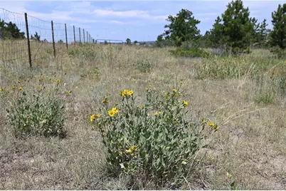 1579 Deerpath Road, Franktown, CO 80116 - Photo 47