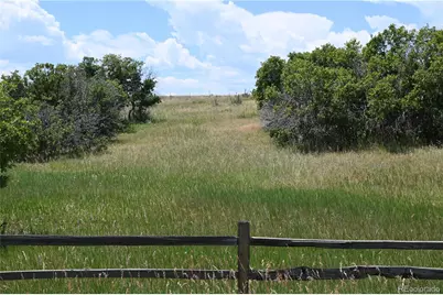 1579 Deerpath Road, Franktown, CO 80116 - Photo 13