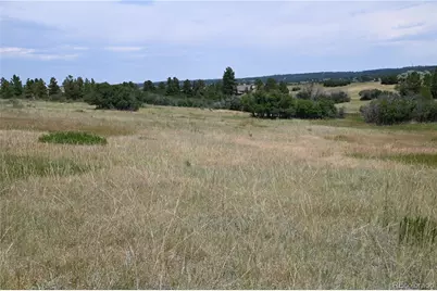 1579 Deerpath Road, Franktown, CO 80116 - Photo 25