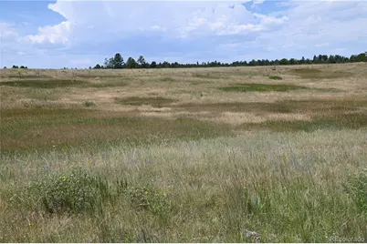 1579 Deerpath Road, Franktown, CO 80116 - Photo 19