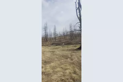 Lot 321 Hagin Lane, Fort Garland, CO 81133 - Photo 3