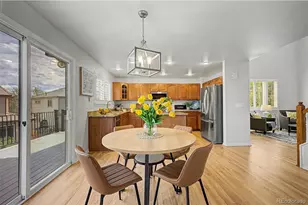 10531 Laurelglen Cir, Highlands Ranch, CO 80130 - Photo 11