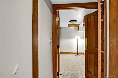 728 Front Street, Fairplay, CO 80440 - Photo 7