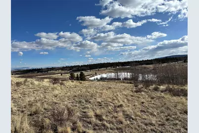 Foxtail Court, Fairplay, CO 80440 - Photo 11