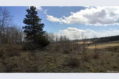 Foxtail Court, Fairplay, CO 80440 - Photo 5