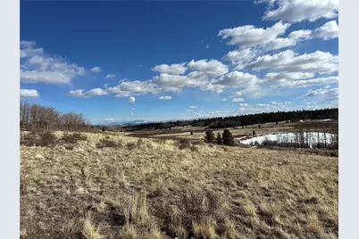 Foxtail Court, Fairplay, CO 80440 - Photo 17