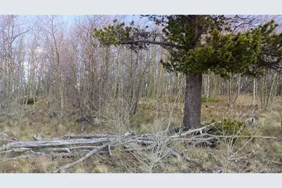 Foxtail Court, Fairplay, CO 80440 - Photo 7