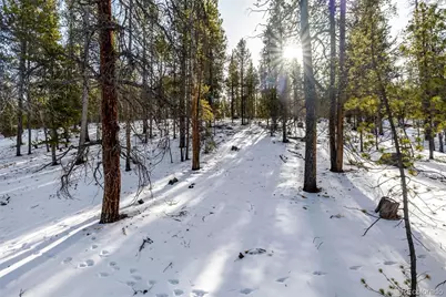 539 Sequoia Drive, Leadville, CO 80461 - Photo 9