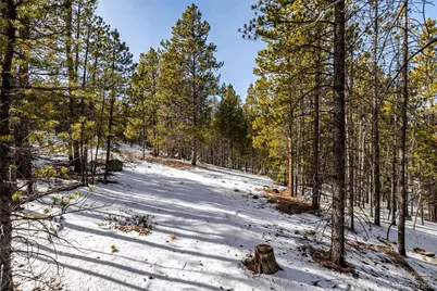 539 Sequoia Drive, Leadville, CO 80461 - Photo 15