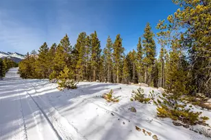 539 Sequoia Dr, Leadville, CO 80461 - Photo 1