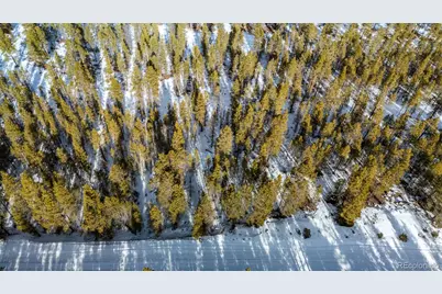 539 Sequoia Drive, Leadville, CO 80461 - Photo 41