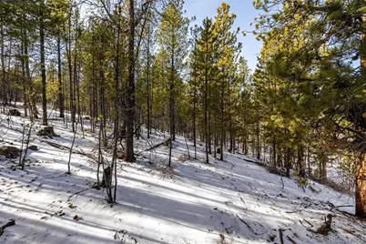 539 Sequoia Drive, Leadville, CO 80461 - Photo 13