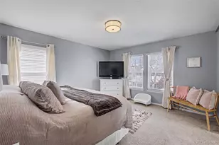 2921 Fulton St, Denver, CO 80238 - Photo 17