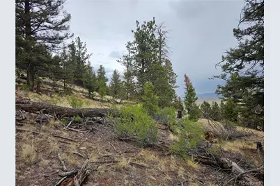 Pcs#24807 Satanta Trail, Hartsel, CO 80449 - Photo 41