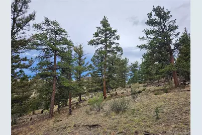 Pcs#24807 Satanta Trail, Hartsel, CO 80449 - Photo 43