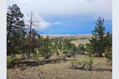 Pcs#24807 Satanta Trail, Hartsel, CO 80449 - Photo 45