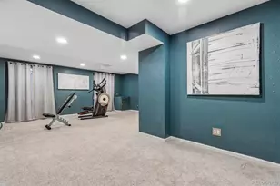 10104 Silver Maple Rd, Highlands Ranch, CO 80129 - Photo 29