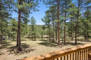 2710 Interlocken Dr, Evergreen, CO 80439 - Photo 35