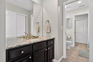 2656 Leafdale Cir, Castle Rock, CO 80109 - Photo 43