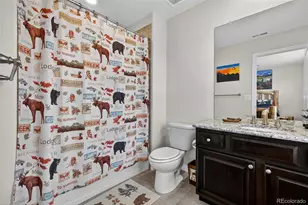 2656 Leafdale Cir, Castle Rock, CO 80109 - Photo 39