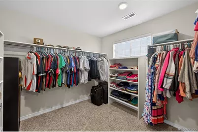 2656 Leafdale Circle, Castle Rock, CO 80109 - Photo 33