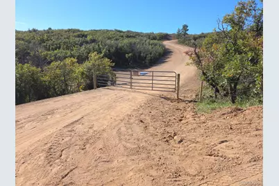 5230 Tall Horse Trail, Sedalia, CO 80135 - Photo 7