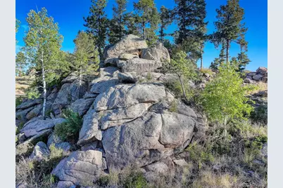 23047 Big Game Trail, Conifer, CO 80433 - Photo 7