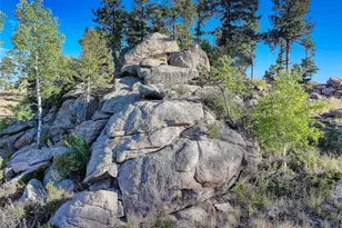 23047 Big Game Trail, Conifer, CO 80433 - Photo 7