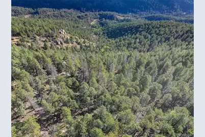 23047 Big Game Trail, Conifer, CO 80433 - Photo 5