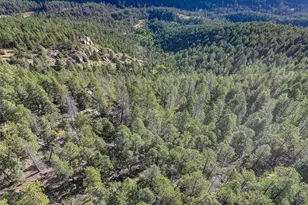 23047 Big Game Trail, Conifer, CO 80433 - Photo 5