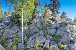 23047 Big Game Trail, Conifer, CO 80433 - Photo 25