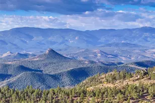 23047 Big Game Trail, Conifer, CO 80433 - Photo 11