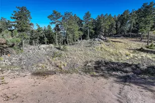 23047 Big Game Trail, Conifer, CO 80433 - Photo 39