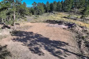 23047 Big Game Trail, Conifer, CO 80433 - Photo 41