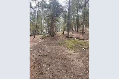 105 Parry Peak Drive, Twin Lakes, CO 81251 - Photo 7