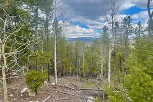 105 Parry Peak Dr, Twin Lakes, CO 81251 - Photo 1