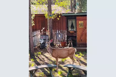 9128 Krashin Drive, Conifer, CO 80433 - Photo 41