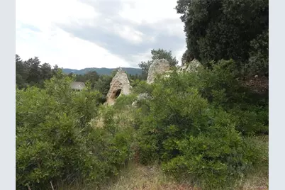 7749 Inca Road, Larkspur, CO 80118 - Photo 35