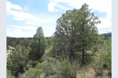 7749 Inca Road, Larkspur, CO 80118 - Photo 25