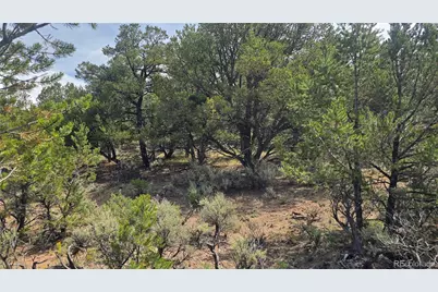 Lot 7892 Tiernan Road, Fort Garland, CO 81133 - Photo 7