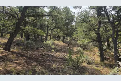Lot 7892 Tiernan Road, Fort Garland, CO 81133 - Photo 11